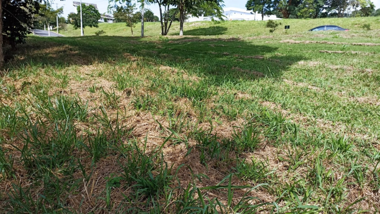 Imagem Chácara à Venda, 1.000 m² em Canaã I - Jambeiro Imagem Chácara à Venda, 1.000 m² em Canaã I - Jambeiro