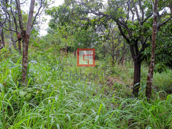 Imagem Imóvel com 3 Quartos à Venda, em Zona Rural - Montes Claros Imagem Imóvel com 3 Quartos à Venda, em Zona Rural - Montes Claros