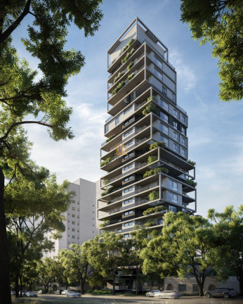 Imagem Imóvel com 3 Quartos à Venda, 229 m² em Cabral - Curitiba Imagem Imóvel com 3 Quartos à Venda, 229 m² em Cabral - Curitiba