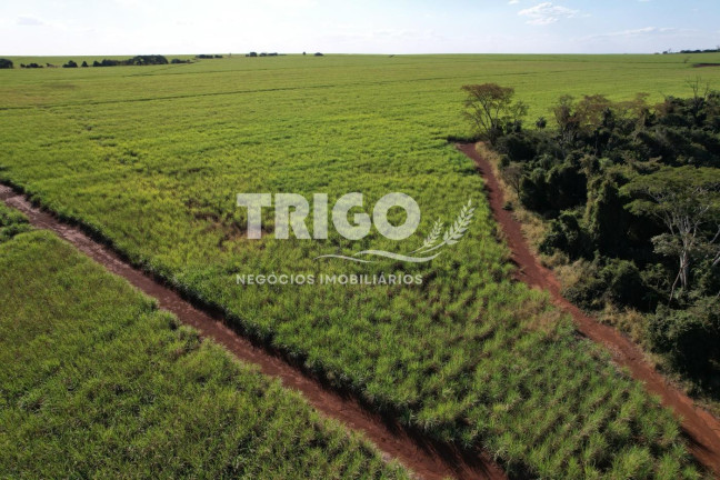 Imagem Fazenda à Venda, 6 m² em Zona Rural - Morro Agudo