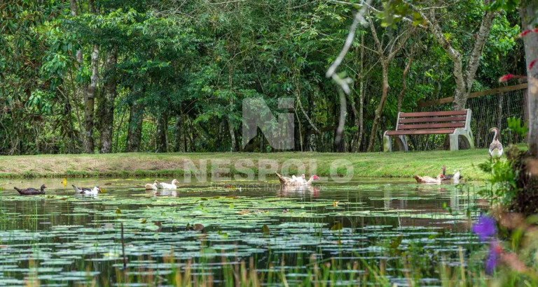 Imagem Terreno à Venda,  em Rio Do Meio - Camboriu