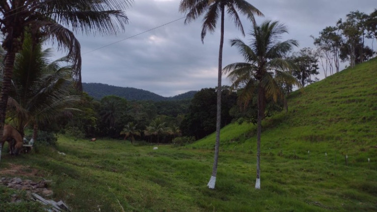 Imagem Imóvel com 4 Quartos à Venda, 2 m² em Tanguá - Tanguá Imagem Imóvel com 4 Quartos à Venda, 2 m² em Tanguá - Tanguá