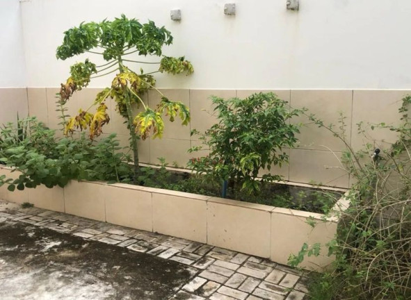 Imagem Casa com 3 Quartos à Venda, 210 m² em Arembepe - Camaçari Imagem Casa com 3 Quartos à Venda, 210 m² em Arembepe - Camaçari