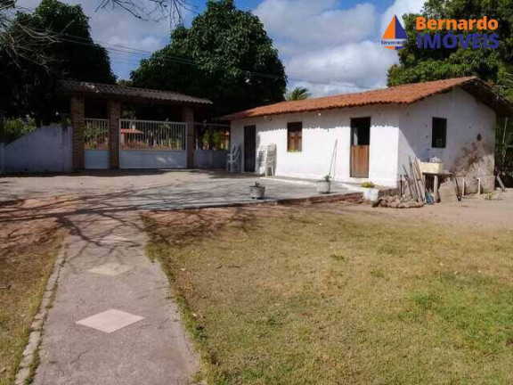 Imagem Chácara com 4 Quartos à Venda, 350 m² em Pedro De Souza - Cascavel Imagem Chácara com 4 Quartos à Venda, 350 m² em Pedro De Souza - Cascavel
