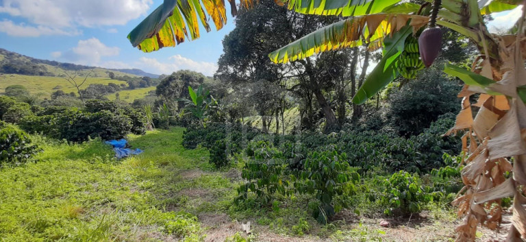 Imagem Imóvel à Venda, 3 m² em Milho Verde - Bandeira Do Sul Imagem Imóvel à Venda, 3 m² em Milho Verde - Bandeira Do Sul