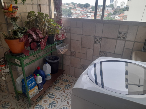 Imagem Apartamento com 3 Quartos à Venda, 115 m² em Jardim Aeroporto - São Paulo