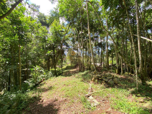 Imagem Terreno à Venda, 4.000 m² em Parque Do Imbui - Teresópolis Imagem Terreno à Venda, 4.000 m² em Parque Do Imbui - Teresópolis