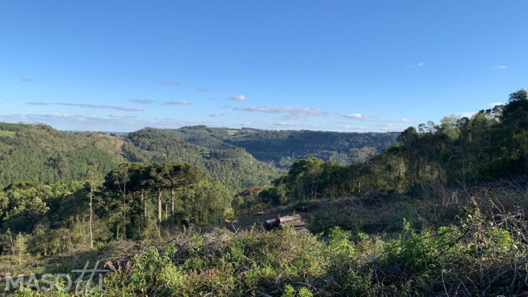 Imagem Chácara à Venda, 31.800 m² em Tapera Alemã - Gramado Imagem Chácara à Venda, 31.800 m² em Tapera Alemã - Gramado