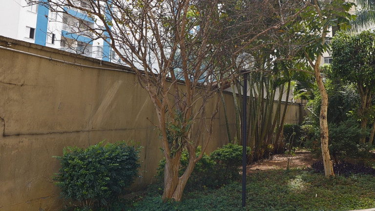 Imagem Apartamento com 2 Quartos à Venda, 56 m² em Vila Guilherme - São Paulo Imagem Apartamento com 2 Quartos à Venda, 56 m² em Vila Guilherme - São Paulo