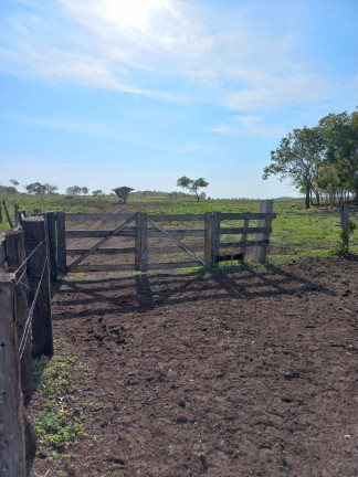 Imagem Fazenda à Venda, 787 m² em Nova Xavantina Imagem Fazenda à Venda, 787 m² em Nova Xavantina