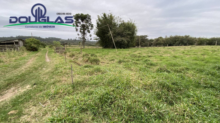 Imagem Chácara à Venda, em águas Claras - Viamão Imagem Chácara à Venda, em águas Claras - Viamão