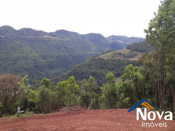 Imagem Imóvel à Venda, 31.701 m² em Linha Pirajá Baixa - Nova Petrópolis Imagem Imóvel à Venda, 31.701 m² em Linha Pirajá Baixa - Nova Petrópolis