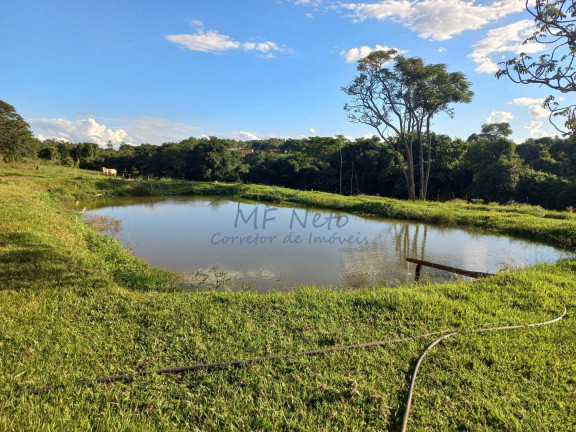 Imagem Fazenda à Venda, 65.340 m² em Bonfim - Pirassununga Imagem Fazenda à Venda, 65.340 m² em Bonfim - Pirassununga
