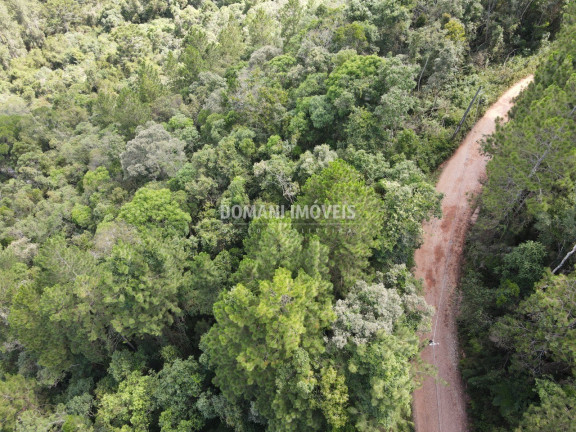 Imagem Terreno à Venda, 5.820 m² em Região Do Parque Da água Santa - Campos Do Jordão Imagem Terreno à Venda, 5.820 m² em Região Do Parque Da água Santa - Campos Do Jordão