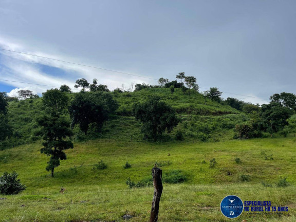 Imagem Fazenda à Venda, 33 m² em Zona Rural - Goiás Imagem Fazenda à Venda, 33 m² em Zona Rural - Goiás