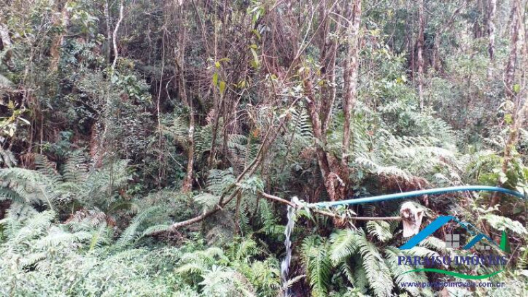 Imagem Terreno à Venda, 38 m² em Centro - Gonçalves Imagem Terreno à Venda, 38 m² em Centro - Gonçalves