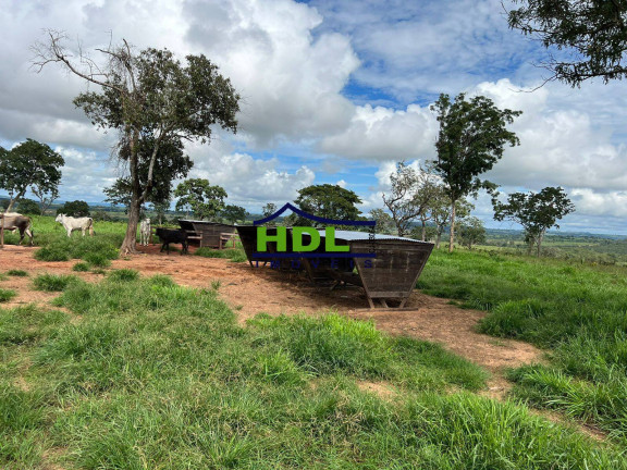 Fazenda à Venda,  em Zona Rural - Torixoréu
