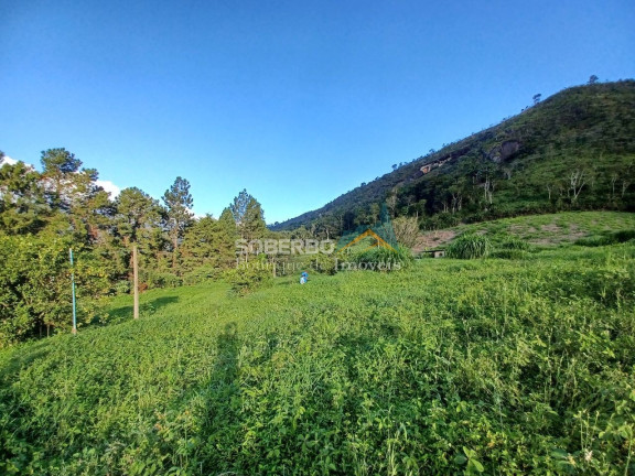 Imagem Imóvel com 1 Quarto à Venda, 123.000 m² em Vieira - Teresópolis Imagem Imóvel com 1 Quarto à Venda, 123.000 m² em Vieira - Teresópolis