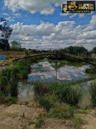 Imagem Imóvel com 22 Quartos à Venda, 5.000 m² em Centro - Capão Do Leão