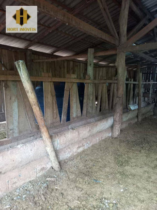 Imagem Chácara com 3 Quartos à Venda, 145.000 m² em Santo Antônio - Chapecó Imagem Chácara com 3 Quartos à Venda, 145.000 m² em Santo Antônio - Chapecó
