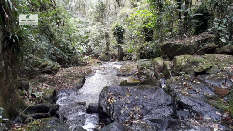 Imagem Imóvel Comercial à Venda, 50.000 m² em Caetê - São Roque Imagem Imóvel Comercial à Venda, 50.000 m² em Caetê - São Roque