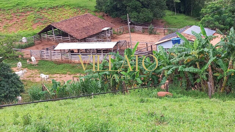 Imagem Chácara com 3 Quartos à Venda, 100 m² em Uruaçu Imagem Chácara com 3 Quartos à Venda, 100 m² em Uruaçu
