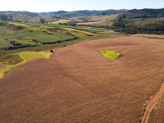 Imagem Fazenda à Venda, 895.000 m² em Centro - Andradas Imagem Fazenda à Venda, 895.000 m² em Centro - Andradas