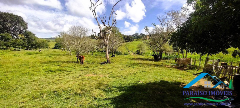 Imagem Chácara à Venda, 21 m² em Centro - Paraisópolis
