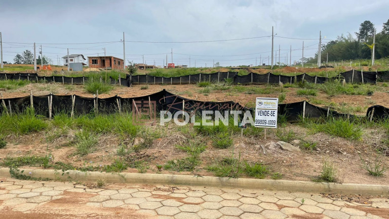 Imagem Terreno à Venda, 360 m² em Vila Floresta Ii - Criciúma
