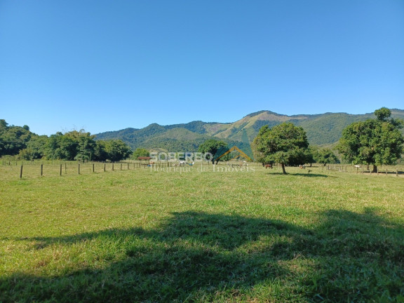 Imagem Imóvel com 8 Quartos à Venda, 6.000.000 m² em Gaviões - Silva Jardim Imagem Imóvel com 8 Quartos à Venda, 6.000.000 m² em Gaviões - Silva Jardim