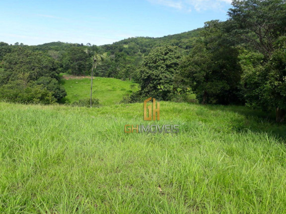 Imagem Chácara à Venda, 338.800 m² em Area Rural - Novo Brasil Imagem Chácara à Venda, 338.800 m² em Area Rural - Novo Brasil