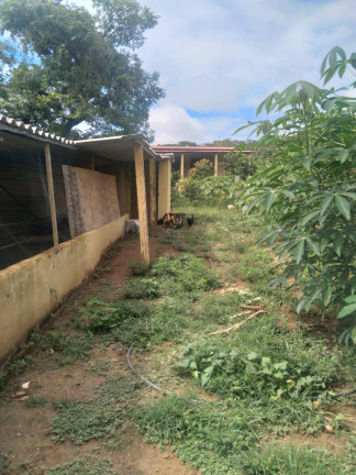 Imagem Chácara com 3 Quartos à Venda, 21 m² em Cromínia Imagem Chácara com 3 Quartos à Venda, 21 m² em Cromínia