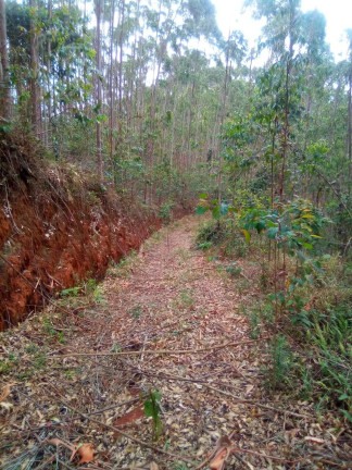 Imagem Terreno à Venda, 1 m² em Parque Santo Antônio - Jacareí Imagem Terreno à Venda, 1 m² em Parque Santo Antônio - Jacareí