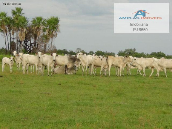 Imagem Fazenda à Venda, 58.000 m² em Cáceres