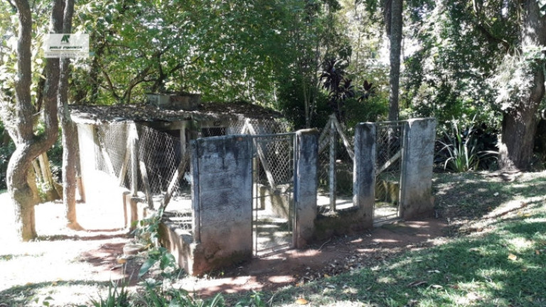 Imagem Chácara com 3 Quartos à Venda, 3.000 m² em Alto Da Serra - São Roque