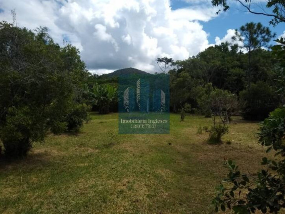 Imagem Casa com 7 Quartos à Venda, 300 m² em Rio Vermelho - Florianópolis