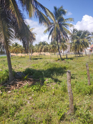 Imagem Terreno à Venda, 5.000 m² em Icaraizinho De Amontada - Amontada