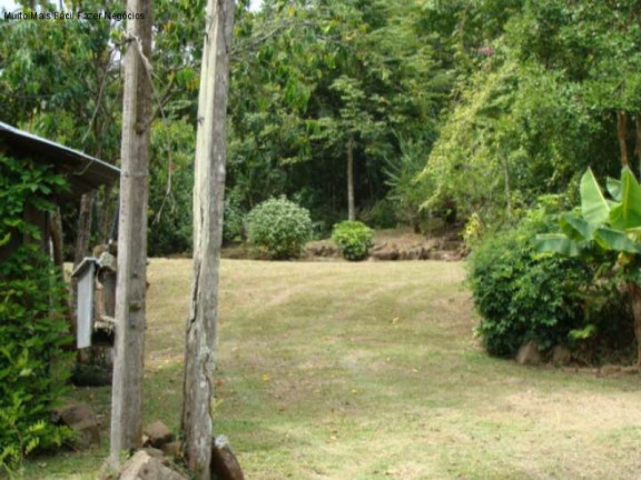 Imagem Imóvel com 3 Quartos à Venda, 70 m² em Linha Pirajá - Nova Petrópolis Imagem Imóvel com 3 Quartos à Venda, 70 m² em Linha Pirajá - Nova Petrópolis