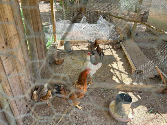 Imagem Chácara com 2 Quartos à Venda, 15.000 m² em Ramos - Bonfim Imagem Chácara com 2 Quartos à Venda, 15.000 m² em Ramos - Bonfim