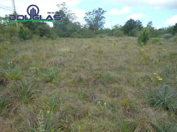 Imagem Imóvel Comercial à Venda, 3.640 m² em Morro Grande - Viamão