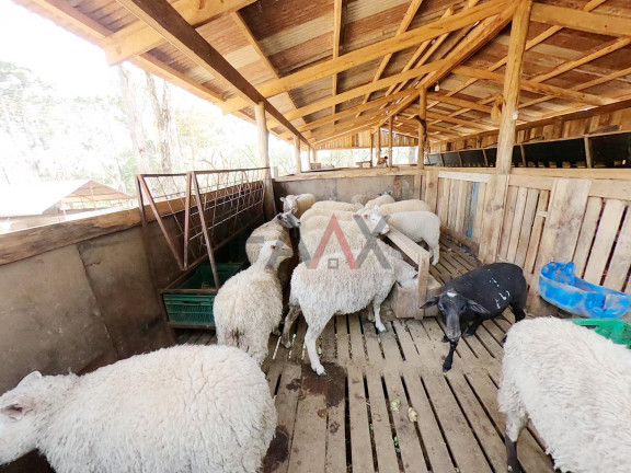 Imagem Fazenda à Venda, 24.200 m² em Morro Alto - Guarapuava Imagem Fazenda à Venda, 24.200 m² em Morro Alto - Guarapuava