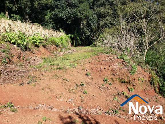 Imagem Imóvel à Venda, 6.862 m² em Vila Olinda - Nova Petrópolis Imagem Imóvel à Venda, 6.862 m² em Vila Olinda - Nova Petrópolis