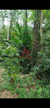 Imagem Terreno à Venda, 500 m² em Itamambuca - Ubatuba