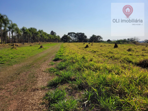 Imagem Imóvel à Venda, 97.000 m² em Bairro Soamin - Porto Feliz