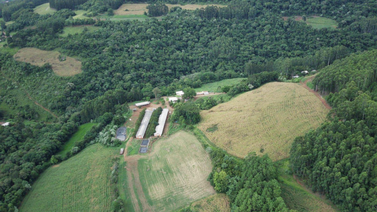 Imagem Terreno à Venda, 450.000 m² em Rural - Três Arroios Imagem Terreno à Venda, 450.000 m² em Rural - Três Arroios