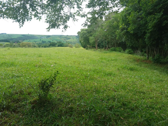 Imagem Chácara à Venda, 15 m² em Rural - Itapeva Imagem Chácara à Venda, 15 m² em Rural - Itapeva