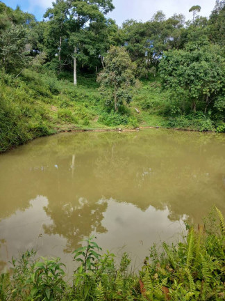 Imagem Chácara à Venda, 4 m² em Curitiba Imagem Chácara à Venda, 4 m² em Curitiba