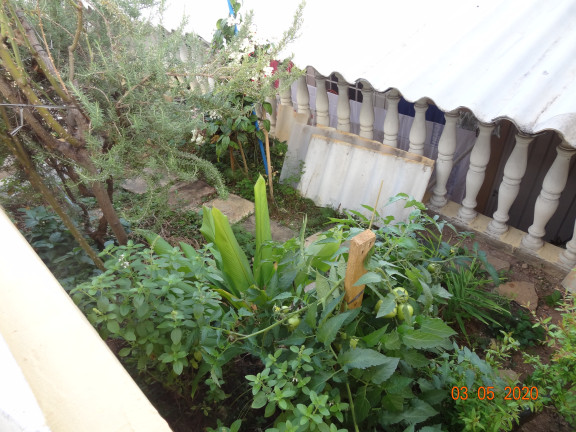Imagem Sobrado com 3 Quartos à Venda, em Jardim Vista Linda - São Paulo Imagem Sobrado com 3 Quartos à Venda, em Jardim Vista Linda - São Paulo