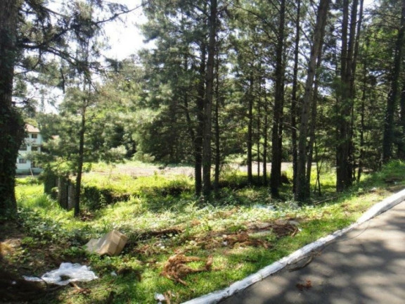 Imagem Terreno à Venda, 4.117 m² em Planalto - Gramado Imagem Terreno à Venda, 4.117 m² em Planalto - Gramado
