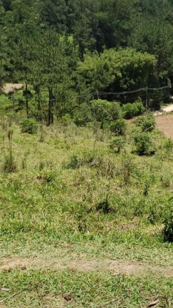Imagem Terreno à Venda, 1.000 m² em Jardim Museu - Cotia